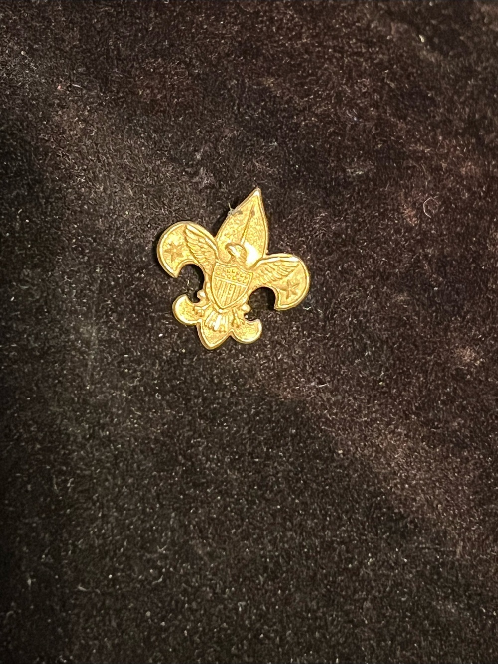 Vintage 1950’s Boy Scout of America Lapel Pin